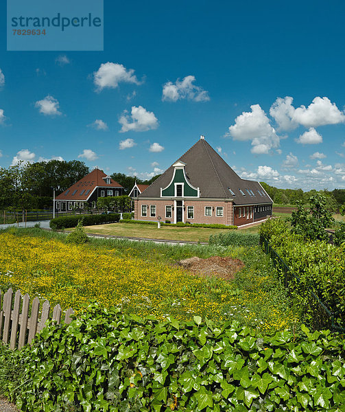 Bauernhaus  Europa  Blume  Tradition  Bauernhof  Hof  Höfe  Feld  Wiese  Niederlande  niederländisch