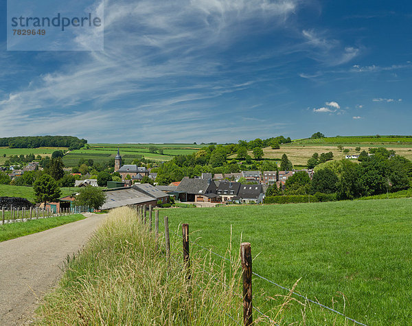 Europa  Sommer  Hügel  grün  Dorf  Feld  Wiese  Niederlande