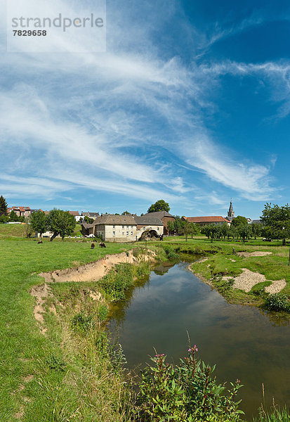 Wasserrad  Windturbine  Windrad  Windräder  Wasser  Europa  Sommer  Fluss  Feld  Wiese  Niederlande