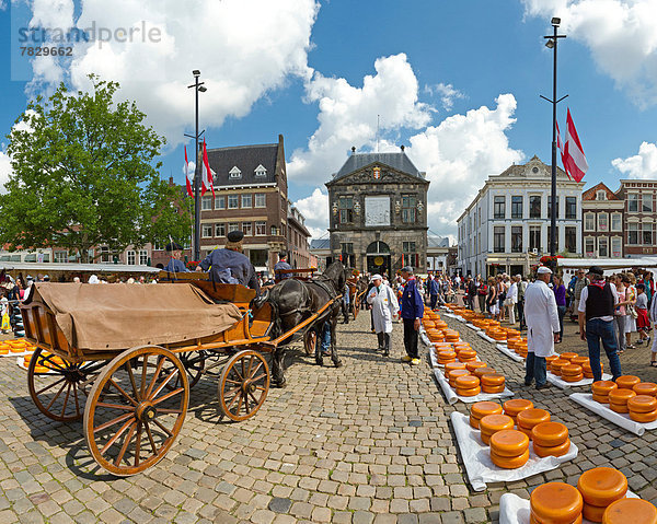 Europa  Mensch  Menschen  Tradition  Sommer  Großstadt  Dorf  Käse  Transport  Gouda  Niederlande  Markt