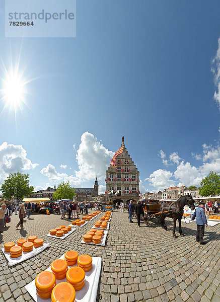 Europa  Mensch  Menschen  Tradition  Sommer  Großstadt  Dorf  Käse  Transport  Gouda  Niederlande  Markt