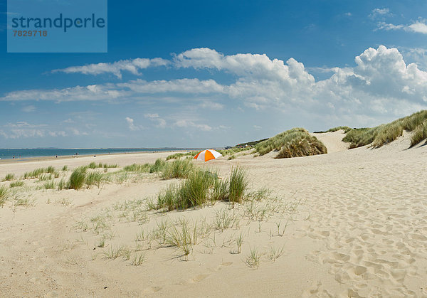Europa  Strand  Sommer  Landschaft  Sand  Niederlande  Nordsee