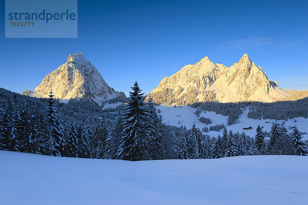 Kälte blauer Himmel wolkenloser Himmel wolkenlos Panorama Europa Berg Winter Baum klein Sonnenaufgang Wald groß großes großer große großen Holz Berggipfel Gipfel Spitze Spitzen Alpen Ansicht Fichte Tanne Westalpen Bergmassiv Schnee schweizerisch Schweiz Zentralschweiz Schweizer Alpen