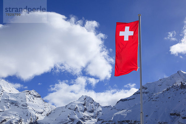 Kälte  blauer Himmel  wolkenloser Himmel  wolkenlos  Panorama  Schweizer Flagge  Schweizer Flaggen  Europa  Berg  Winter  Berggipfel  Gipfel  Spitze  Spitzen  blasen  bläst  blasend  Fahne  Alpen  Ansicht  Berner Alpen  Westalpen  Bern  Berner Oberland  Kandersteg  Schnee  schweizerisch  Schweiz
