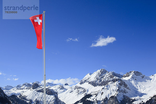 Kälte  blauer Himmel  wolkenloser Himmel  wolkenlos  Panorama  Schweizer Flagge  Schweizer Flaggen  Europa  Berg  Winter  Berggipfel  Gipfel  Spitze  Spitzen  blasen  bläst  blasend  Fahne  Alpen  Ansicht  Berner Alpen  Westalpen  Bern  Berner Oberland  Kandersteg  Schnee  schweizerisch  Schweiz