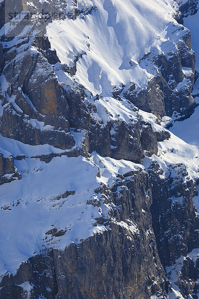 Kälte  Detail  Details  Ausschnitt  Ausschnitte  Felsbrocken  Europa  Berg  Winter  Eis  Alpen  Westalpen  Bergmassiv  Schnee  schweizerisch  Schweiz