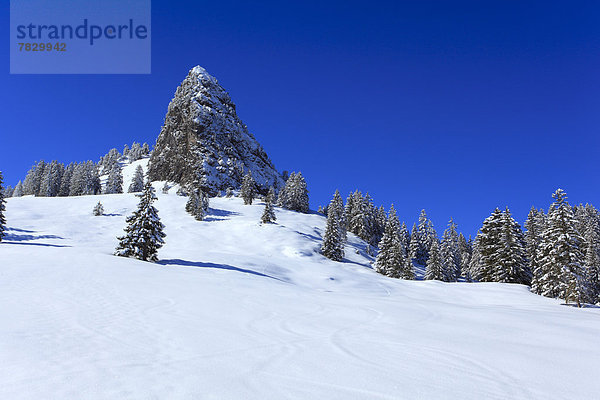 blauer Himmel wolkenloser Himmel wolkenlos Panorama Europa Berg Winter Baum Wald Holz Berggipfel Gipfel Spitze Spitzen Ansicht Zimmer Fichte Tanne Schnee schweizerisch Schweiz Zentralschweiz