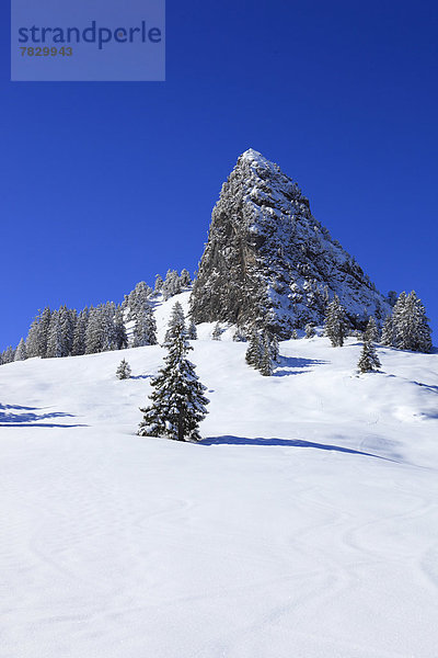 blauer Himmel wolkenloser Himmel wolkenlos Panorama Europa Berg Winter Baum Wald Holz Berggipfel Gipfel Spitze Spitzen Ansicht Zimmer Fichte Tanne Schnee schweizerisch Schweiz Zentralschweiz