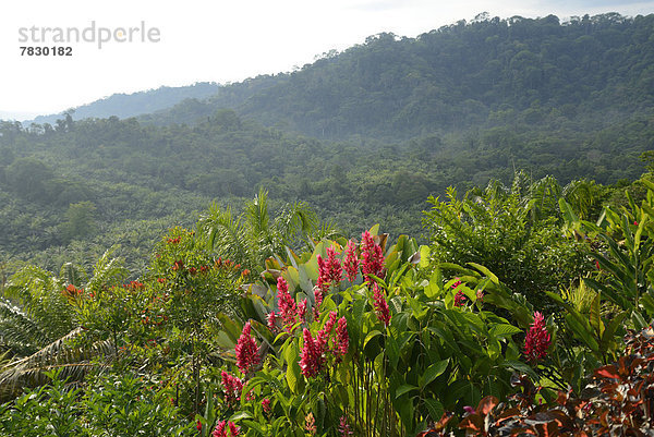 Landschaft  Natur  Mittelamerika  Costa Rica