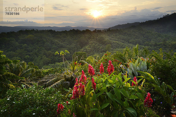 Tropisch  Tropen  subtropisch  Sonnenuntergang  Landschaft  Hügel  Natur  Mittelamerika  Costa Rica
