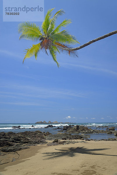 Nationalpark  Hochformat  Strand  Küste  Pazifischer Ozean  Pazifik  Stiller Ozean  Großer Ozean  Mittelamerika  Costa Rica