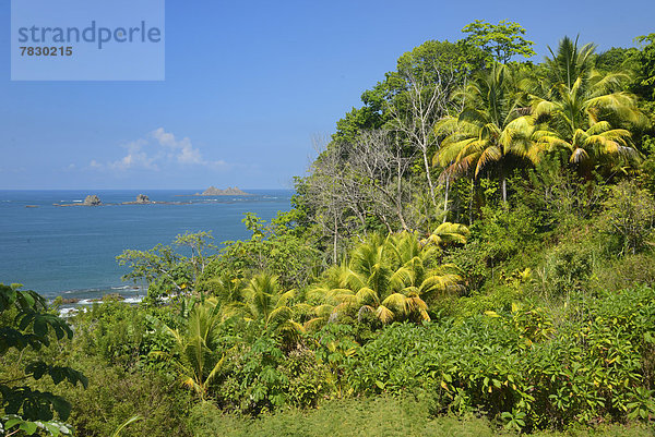 Tropisch  Tropen  subtropisch  Landschaft  Küste  Natur  Pazifischer Ozean  Pazifik  Stiller Ozean  Großer Ozean  Mittelamerika  Costa Rica