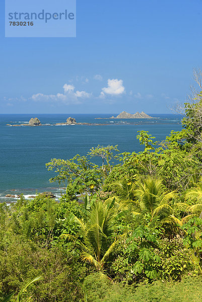 Tropisch  Tropen  subtropisch  Landschaft  Küste  Natur  Pazifischer Ozean  Pazifik  Stiller Ozean  Großer Ozean  Mittelamerika  Costa Rica