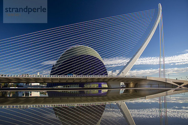 Zuschauerraum  Europa  Zukunft  Architektur  lila  Brücke  Kunst  modern  Wissenschaft  Spanien