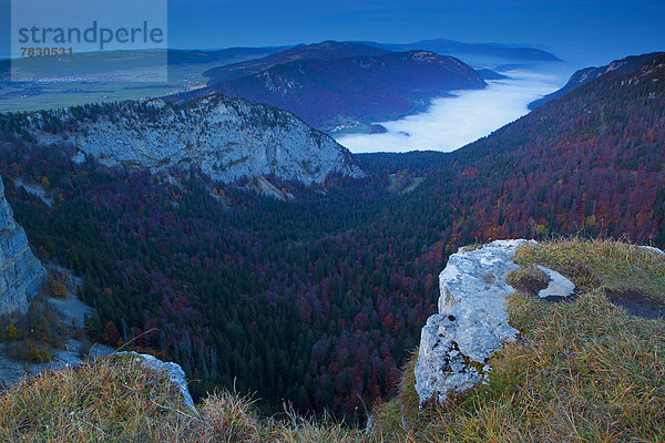 Landschaftlich schön landschaftlich reizvoll Europa Sonnenaufgang Geologie Natur Nebel Schweiz