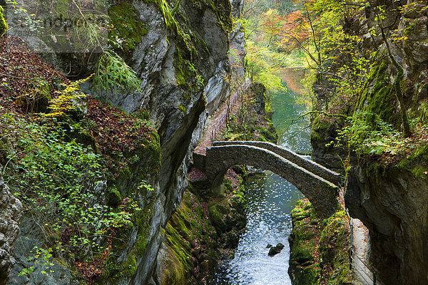Steinbrücke Europa Baum Brücke fließen Fluss Herbst Schlucht Steinerne Brücke Schweiz Weg