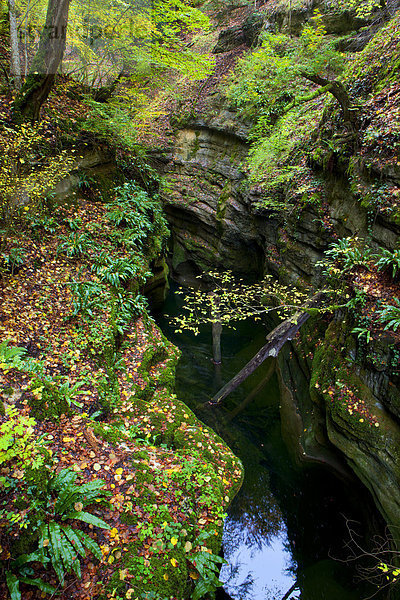 Felsbrocken Europa Baum Steilküste fließen Fluss Herbst Schlucht Schweiz
