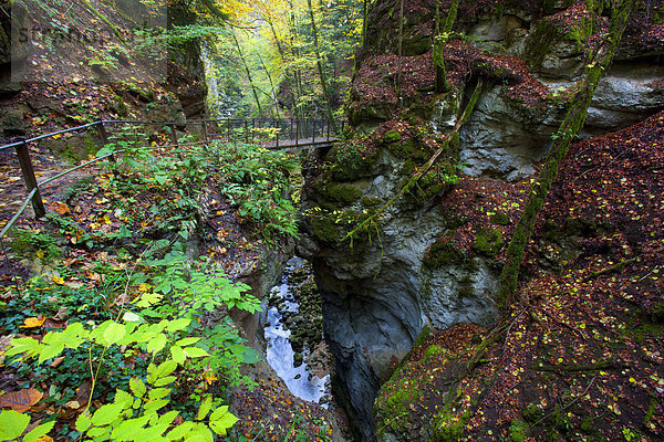 Felsbrocken Europa Baum Steilküste fließen Fluss Herbst Schlucht Schweiz Weg
