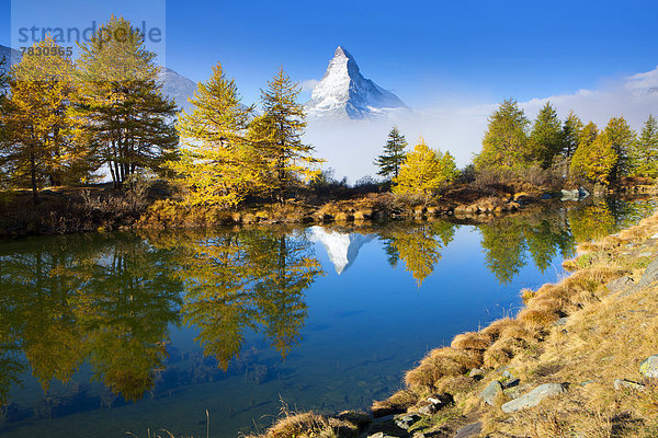 Europa Berg Baum Spiegelung See Nebel Matterhorn Herbst Morgendämmerung Lärche Bergsee Schweiz Morgenlicht