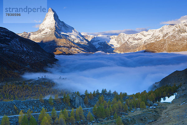 Europa Berg Morgen Baum See Nebel Matterhorn Herbst Lärche Stimmung Bergsee Schweiz Weg