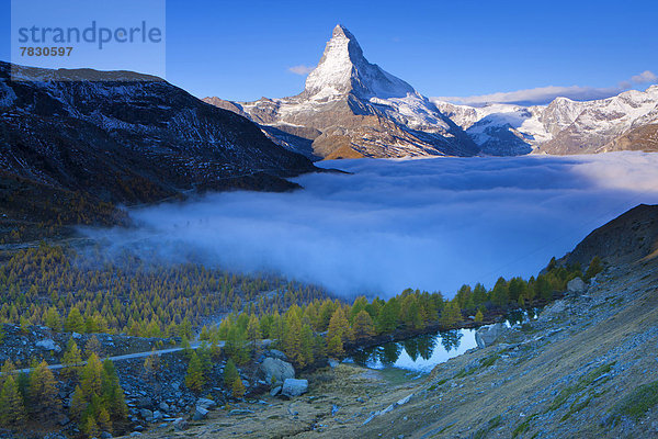 Europa Berg Morgen Baum Spiegelung See Nebel Matterhorn Herbst Lärche Stimmung Bergsee Schweiz Weg