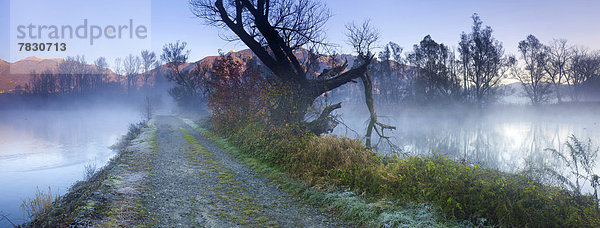 Naturschutzgebiet Europa Morgen Baum Spiegelung Wald See Holz Nebel Lago Maggiore Stimmung Schweiz Weg