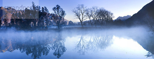 Naturschutzgebiet Europa Morgen Baum Spiegelung Wald See Holz Nebel Lago Maggiore Stimmung Schweiz