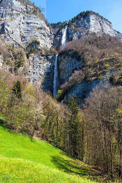 Felsbrocken Europa Steilküste Wald Holz Wasserfall Wiese Schweiz
