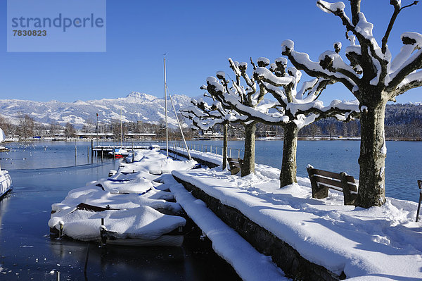 Hafen Berg Winter Boot Dorf Westalpen Schnee Schweiz Schweizer Alpen