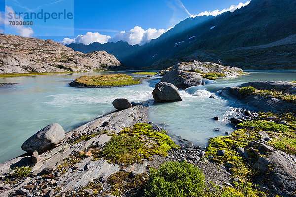 Felsbrocken Europa Berg Steilküste Bach Bern Berner Oberland Schweiz