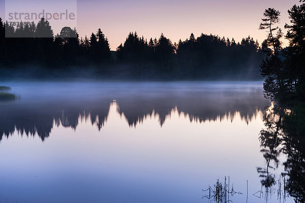 Naturschutzgebiet Europa Spiegelung Wald See Natur Holz Nebel Schweiz Morgenstimmung