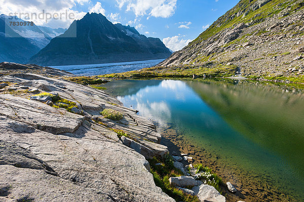 Felsbrocken Europa Berg Steilküste Spiegelung See Natur Gletscher UNESCO-Welterbe Bergsee Schweiz Aletschgletscher