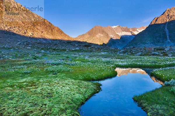 Europa Berg Landschaft Spiegelung See Natur Morgendämmerung UNESCO-Welterbe Wollgras Moos Bergsee Schweiz Morgenlicht