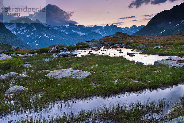 Felsbrocken Europa Steilküste Bern Berner Oberland Moor Schweiz Morgenstimmung