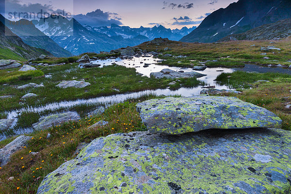 Felsbrocken Europa Steilküste Flechte Flechten Bern Berner Oberland Moor Schweiz Morgenstimmung