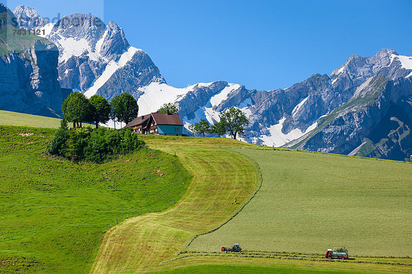 Bauernhaus Europa Berg ernten Heu Schweiz