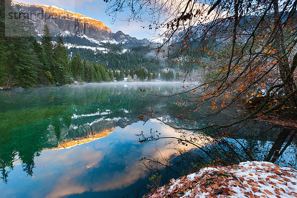 Europa Baum Spiegelung See Surselva Kanton Graubünden Laub Bergsee Schnee Schweiz