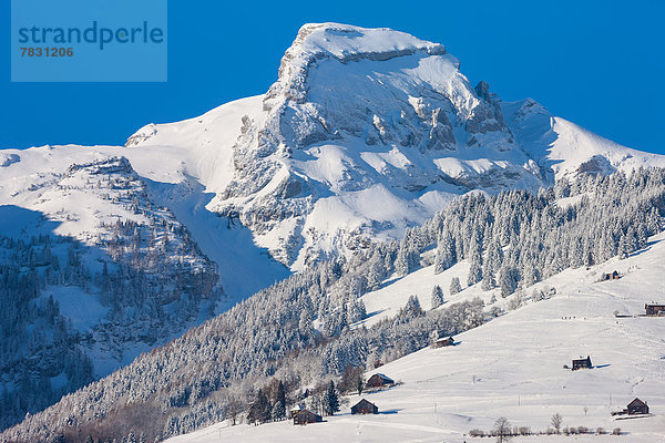 Europa Berg Winter Bauernhof Hof Höfe Wald Holz Rheintal Schnee Schweiz