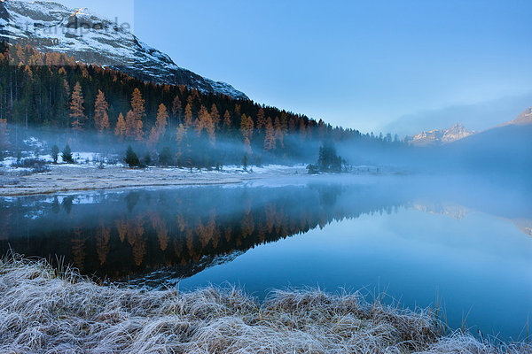 Europa Berg Spiegelung Wald See Nebel Holz Herbst Morgendämmerung Kanton Graubünden Engadin Oberengadin Schweiz Morgenlicht
