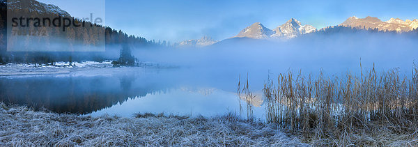 Europa Berg Spiegelung See Nebel Herbst Morgendämmerung Kanton Graubünden Engadin Oberengadin Schilf Schweiz Morgenlicht