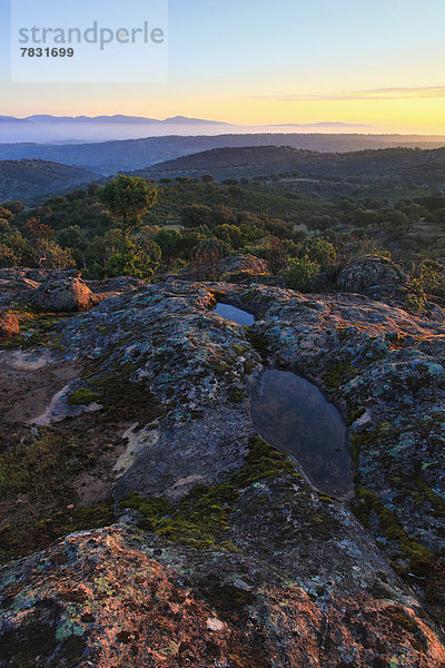 Nationalpark Felsbrocken Europa Berg Stein Morgen Baum Steilküste Sonnenaufgang Wald Holz Lebensraum Andalusien Spanien Morgenstimmung