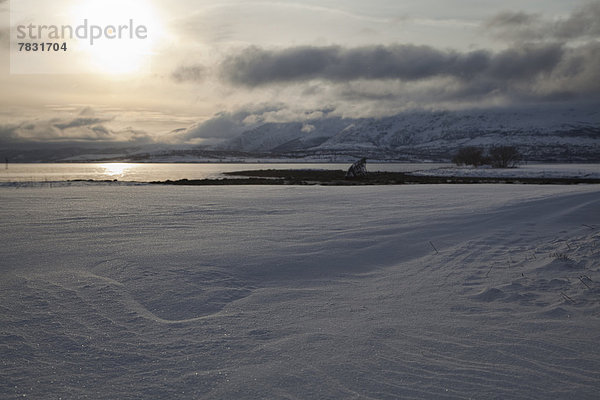 Schiffswrack  Wasserrand  Wasser  Europa  Winter  Beleuchtung  Licht  Küste  Meer  Eis  Norwegen  Gegenlicht  Stimmung  Skandinavien  Schnee