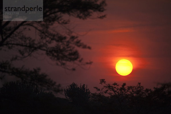 Abend  Sonnenuntergang  Beleuchtung  Licht  Afrika  Stimmung  Uganda