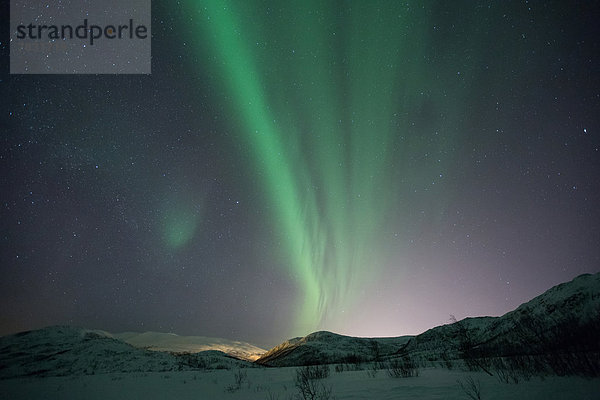 Farbaufnahme  Farbe  Landschaftlich schön  landschaftlich reizvoll  Europa  Winter  Nacht  Beleuchtung  Licht  Himmel  Landschaft  grün  Figur  Norwegen  Polarlicht  Naturerscheinung  Sehenswürdigkeit  Arktis  Skandinavien