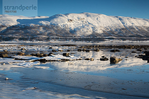 Wasserrand  Landschaftlich schön  landschaftlich reizvoll  Wasser  Europa  Berg  Winter  Landschaft  Spiegelung  Meer  Eis  Norwegen  Skandinavien  Schnee