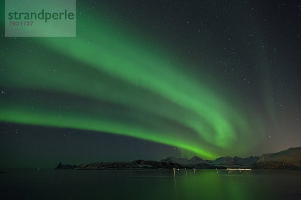 Farbaufnahme  Farbe  Europa  Winter  Nacht  Beleuchtung  Licht  Himmel  grün  Meer  Figur  Norwegen  Polarlicht  Naturerscheinung  Sehenswürdigkeit  Arktis  Skandinavien