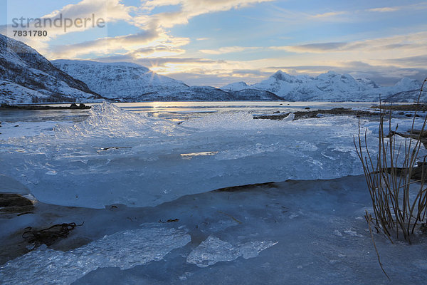 Landschaftlich schön  landschaftlich reizvoll  Europa  Berg  Winter  Landschaft  Eis  Natur  Norwegen  Skandinavien  Schnee