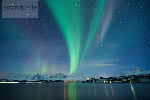 Farbaufnahme  Farbe  Wasser  Europa  Winter  Nacht  Beleuchtung  Licht  Himmel  grün  Natur  Figur  Norwegen  Polarlicht  Naturerscheinung  Sehenswürdigkeit  Arktis  Fjord  Skandinavien