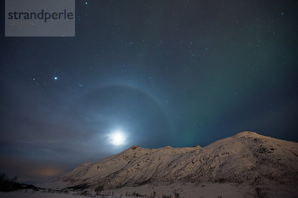 Farbaufnahme  Farbe  Europa  Winter  Nacht  Beleuchtung  Licht  Himmel  grün  Natur  Figur  Norwegen  Polarlicht  Naturerscheinung  Sehenswürdigkeit  Arktis  Skandinavien