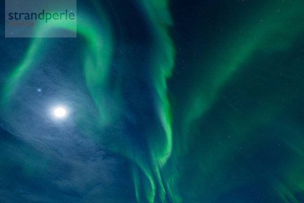Farbaufnahme  Farbe  Europa  Winter  Nacht  Beleuchtung  Licht  Himmel  grün  Eis  Figur  Norwegen  Mond  Polarlicht  Naturerscheinung  Sehenswürdigkeit  Arktis  Skandinavien